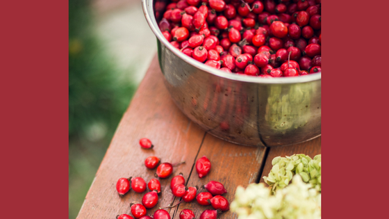 Make Your Own Rosehip Syrup