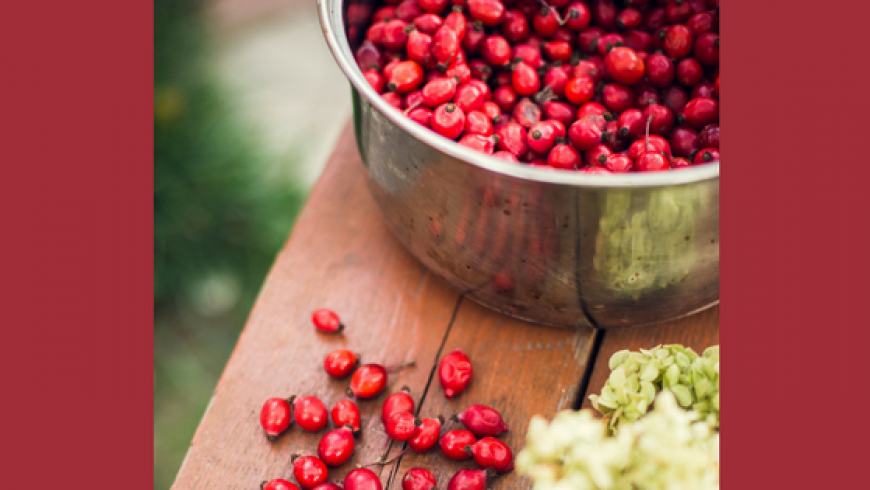 Make Your Own Rosehip Syrup